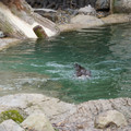 DSC01257.JPG