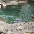 DSC01258.JPG
