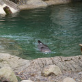 DSC01259.JPG