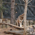 DSC01260.JPG