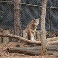 DSC01261.JPG