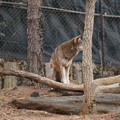 DSC01262.JPG