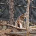DSC01263.JPG