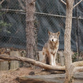 DSC01264.JPG