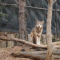 DSC01265.JPG