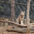 DSC01266.JPG