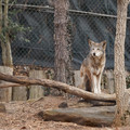 DSC01267.JPG
