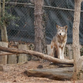 DSC01268.JPG
