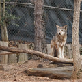 DSC01269.JPG