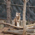 DSC01270.JPG