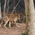DSC01271.JPG