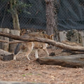 DSC01272.JPG