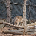 DSC01273.JPG