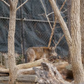 DSC01274.JPG