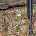 DSC01277.JPG