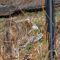 DSC01278.JPG