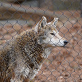 DSC01279.JPG