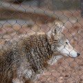 DSC01280.JPG