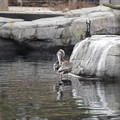 DSC01282.JPG