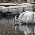DSC01283.JPG