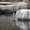 DSC01284.JPG