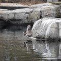 DSC01285.JPG