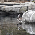 DSC01286.JPG