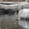 DSC01287.JPG
