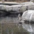 DSC01288.JPG