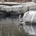 DSC01289.JPG