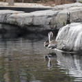 DSC01290.JPG