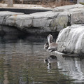DSC01291.JPG
