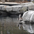 DSC01292.JPG