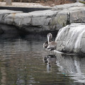 DSC01293.JPG
