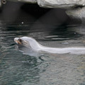 DSC01294.JPG