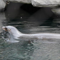 DSC01295.JPG