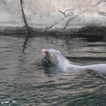 DSC01296.JPG