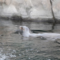 DSC01297.JPG