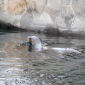 DSC01298.JPG