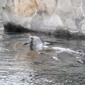 DSC01299.JPG