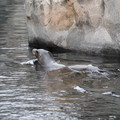 DSC01300.JPG