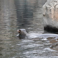 DSC01301.JPG