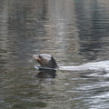 DSC01302.JPG