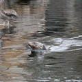 DSC01304.JPG