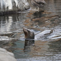 DSC01305.JPG