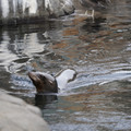 DSC01307.JPG
