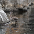 DSC01308.JPG
