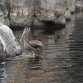 DSC01309.JPG