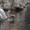 DSC01310.JPG