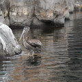 DSC01311.JPG